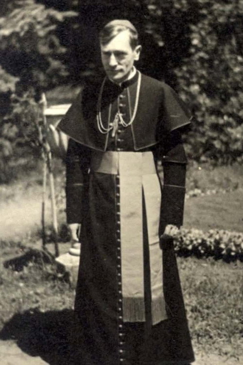 A püspök reggelije - Márton Áron első ötven éve — постер