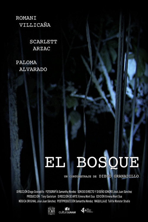 El Bosque — постер