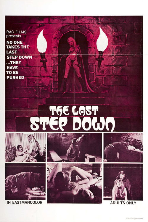 The Last Step Down — постер