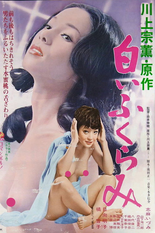 原作・川上宗薫　白いふくらみ — постер