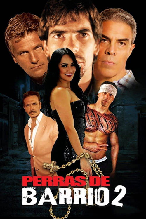 Perras de barrio 2 — постер