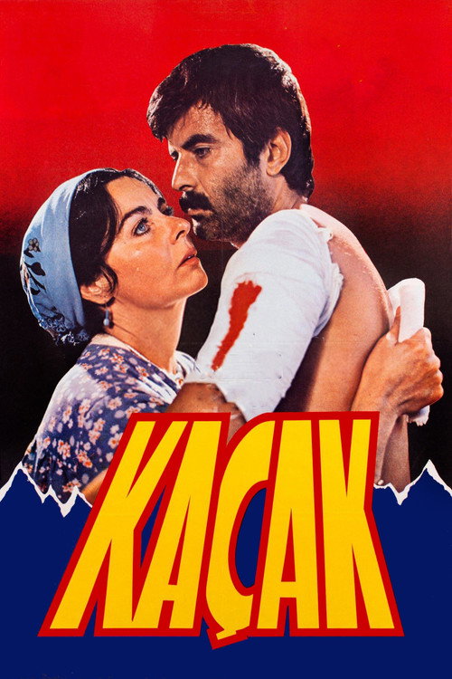 Kaçak — постер