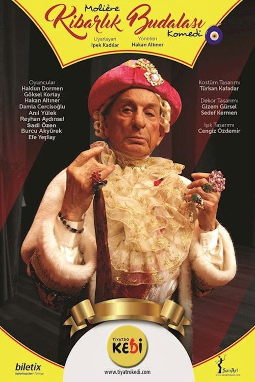 Kibarlık Budalası — постер