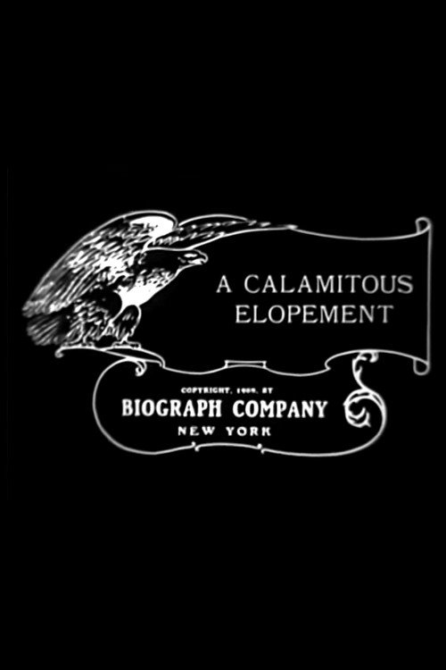 A Calamitous Elopement — постер