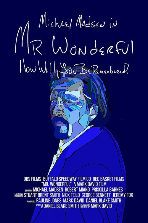 Mr. Wonderful — постер