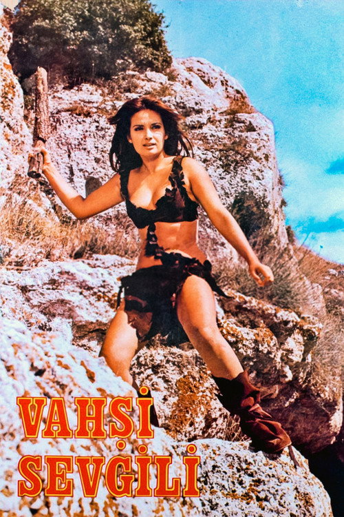 Vahşi Sevgili — постер