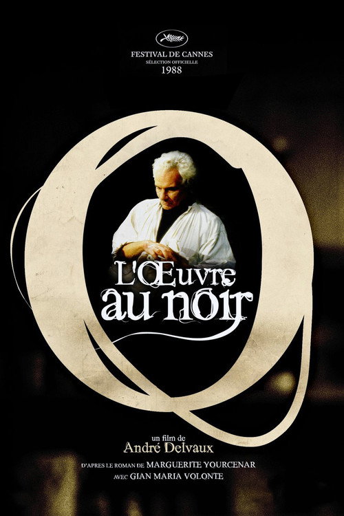 L'œvre au noir — постер