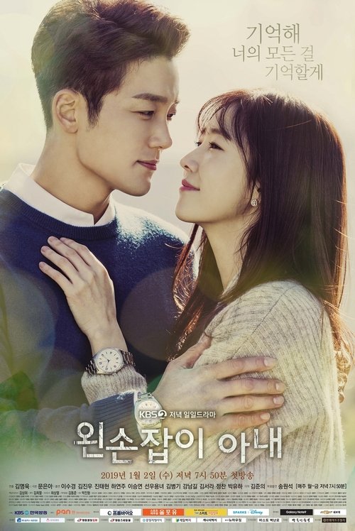 왼손잡이 아내 — постер