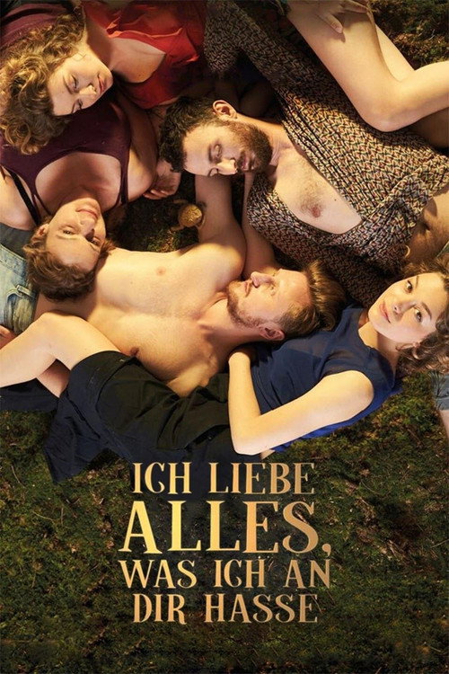 Ich liebe alles, was ich an dir hasse — постер