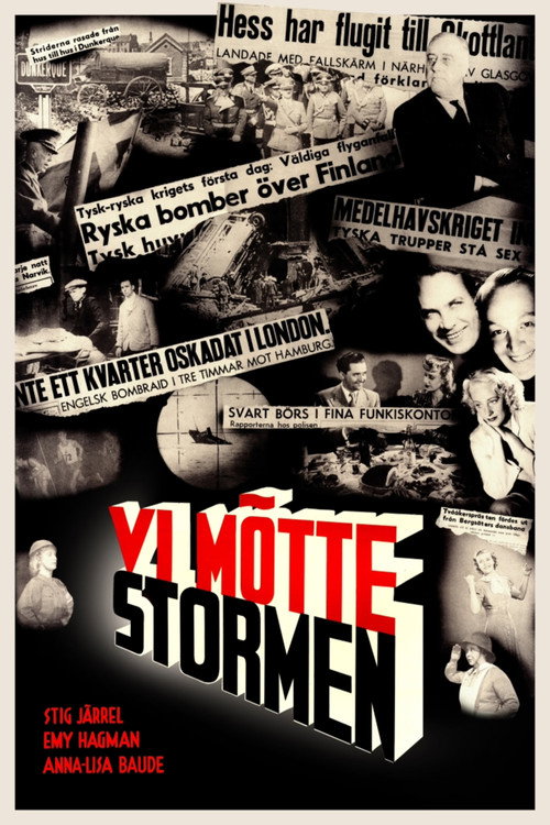 Vi mötte stormen — постер