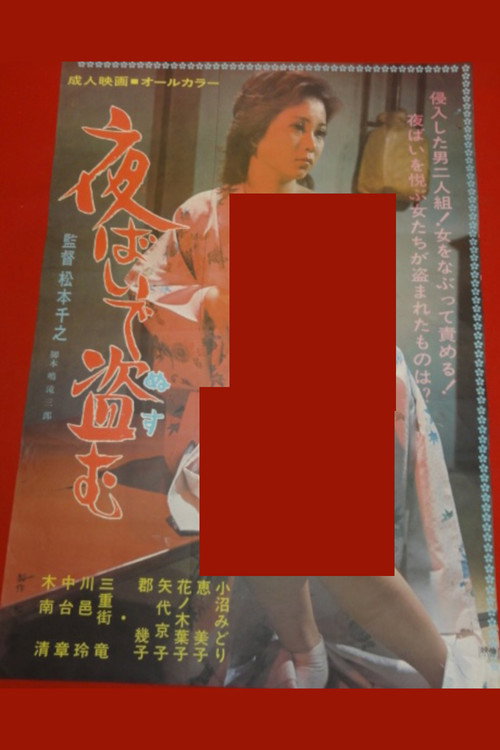 夜ばいで盗む — постер
