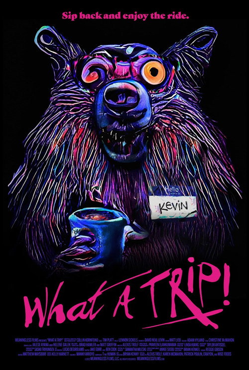 What a Trip! — постер