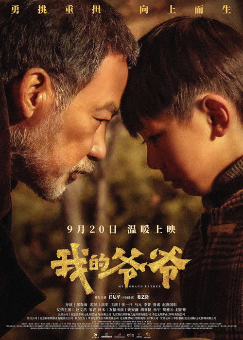 我的爷爷 — постер