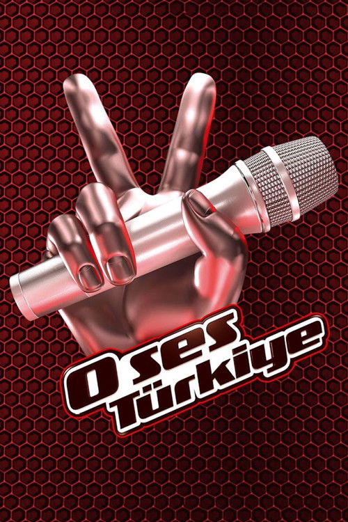O Ses Türkiye — постер