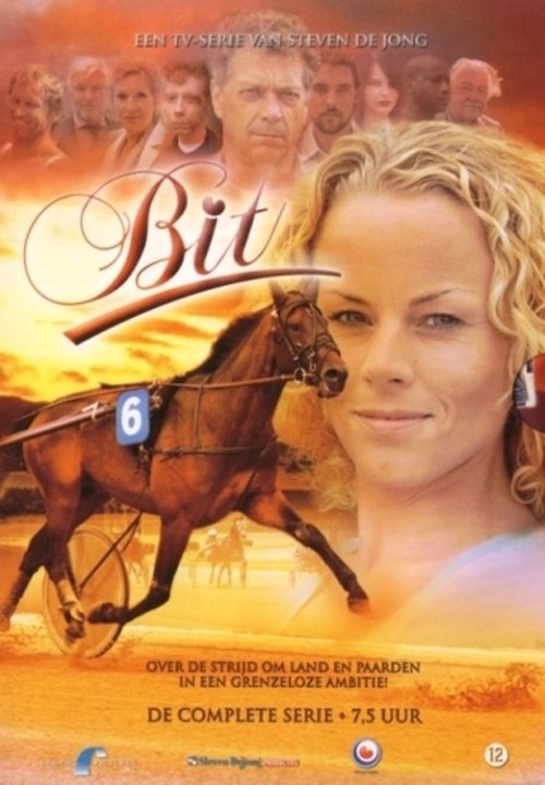 Bit — постер