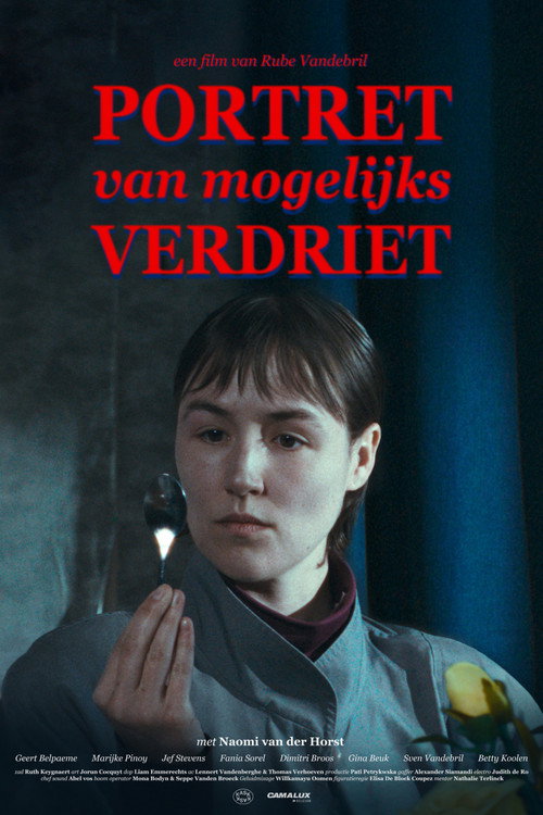 Portret van mogelijks verdriet — постер
