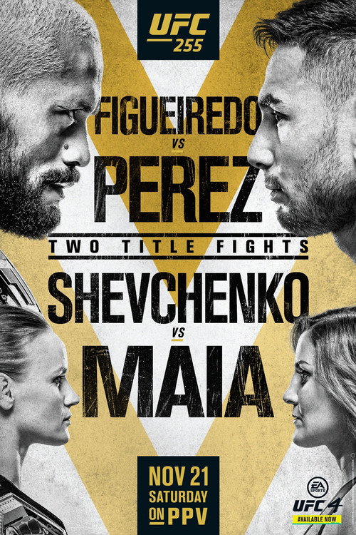 UFC 255: Figueiredo vs. Perez — постер
