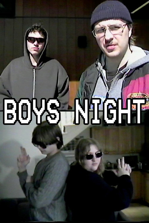 Boys Night — постер