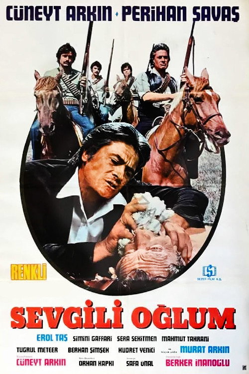 Sevgili Oğlum — постер