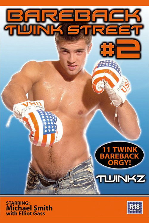 Bareback Twink Street 2 — постер
