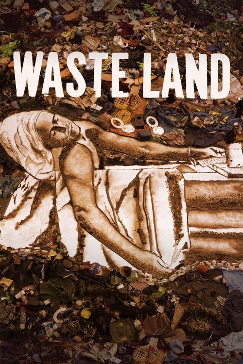 Waste Land — постер
