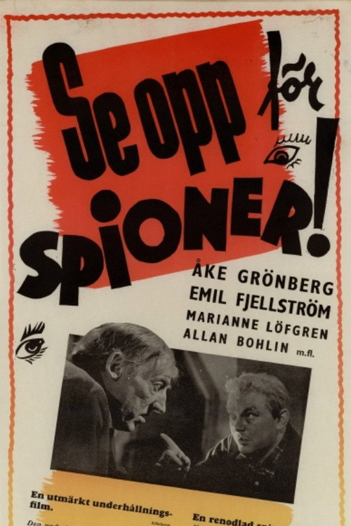 Se opp för spioner! — постер