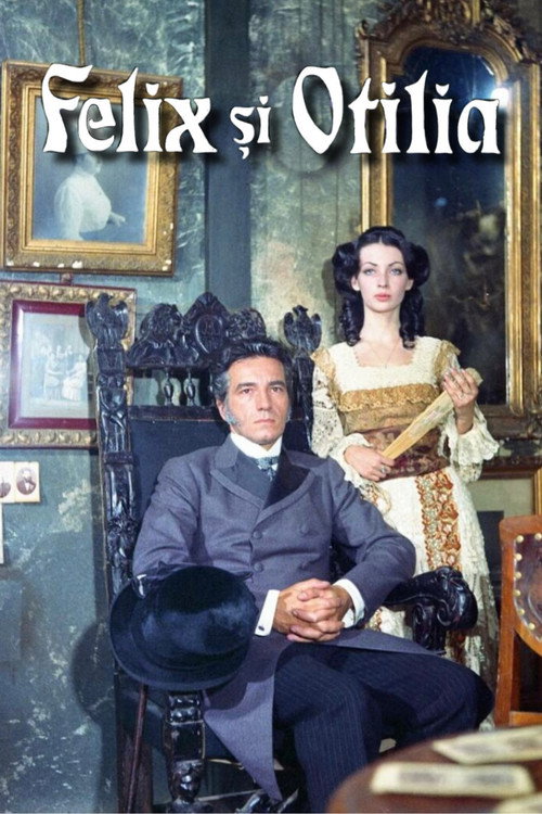 Felix și Otilia — постер