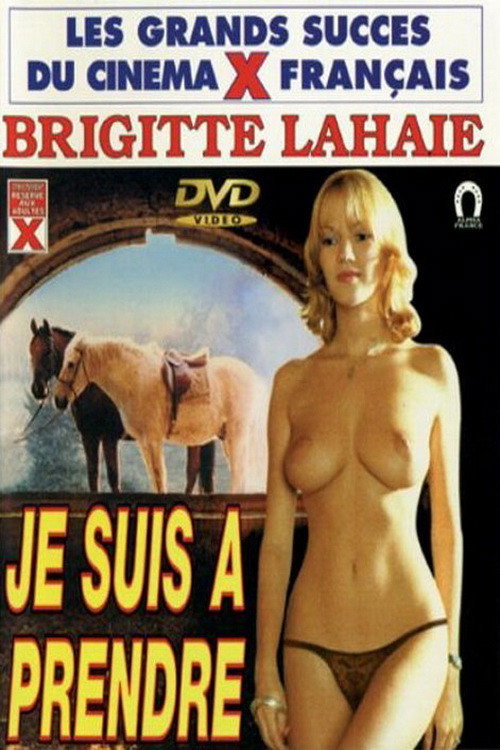 Je suis à prendre — постер