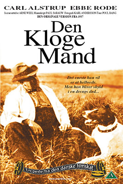 Den kloge mand — постер
