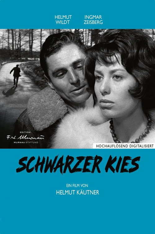 Schwarzer Kies — постер