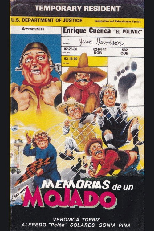 Memorias de un mojado — постер
