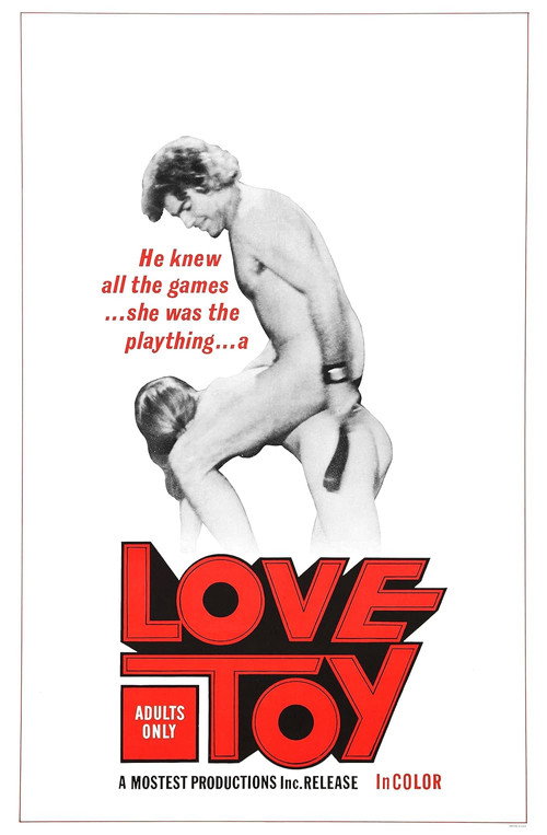 Love Toy — постер
