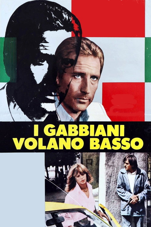 I gabbiani volano basso — постер