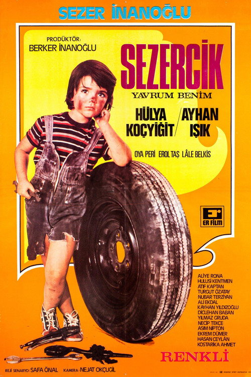 Sezercik Yavrum Benim — постер
