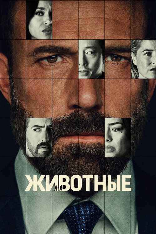 Животные — постер