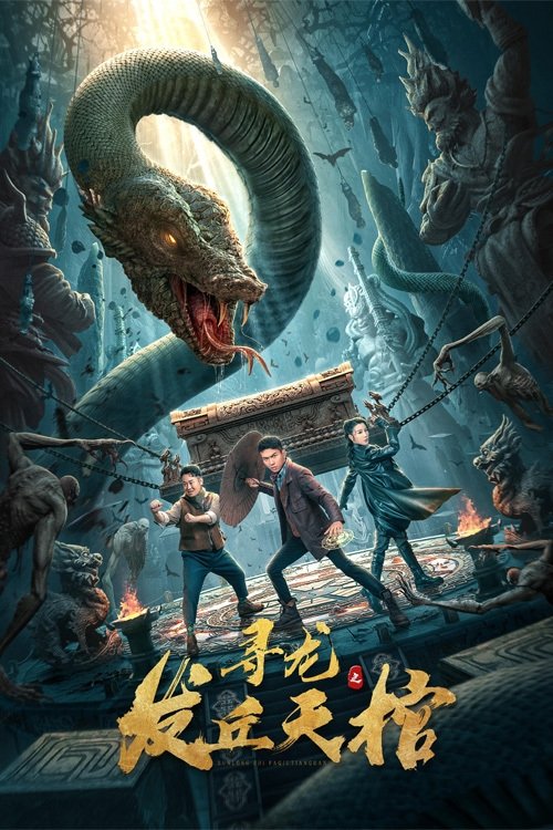 寻龙之发丘天棺 — постер