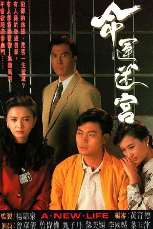命運迷宮 — постер