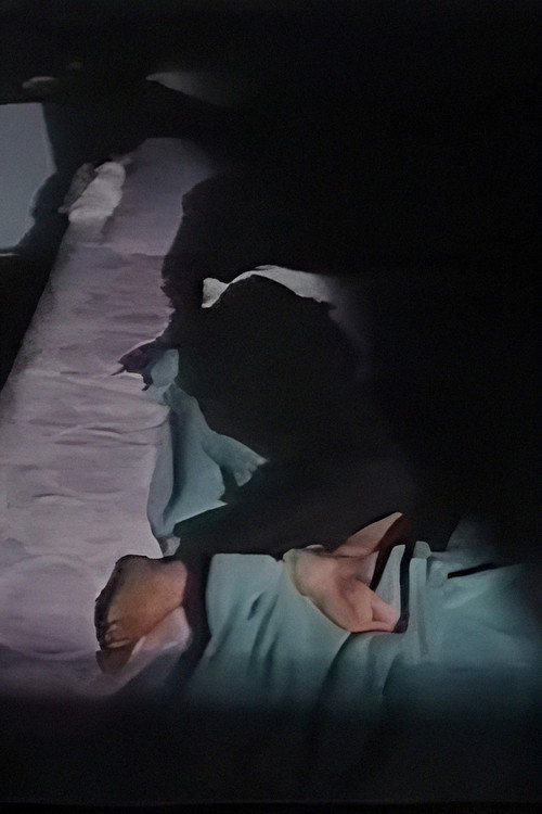 Las asesinas del panadero — постер