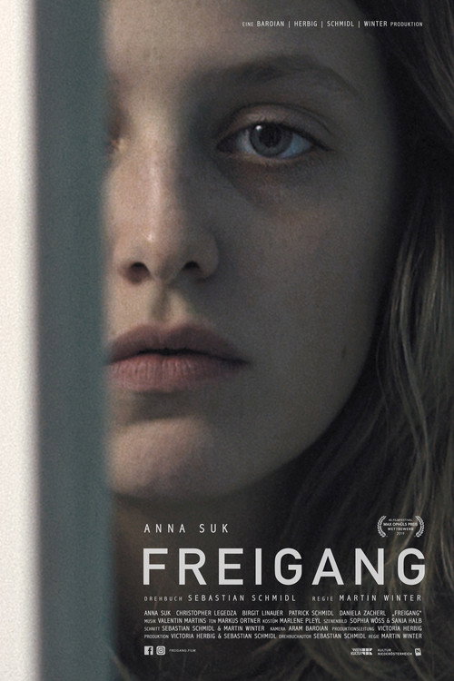 Freigang — постер