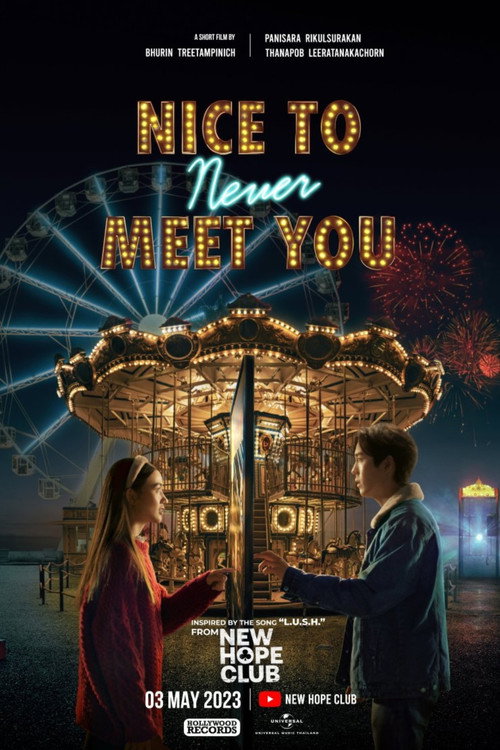 Nice To Never Meet You — постер