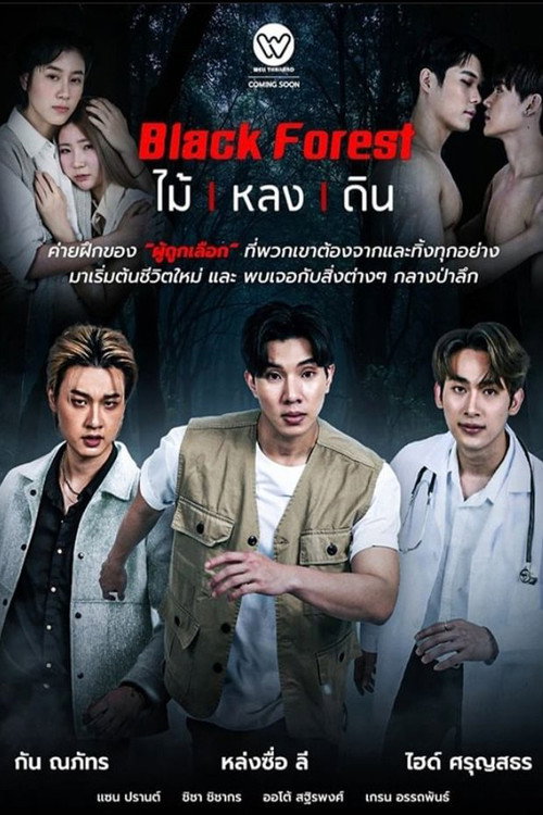 ไม้ หลง ดิน — постер