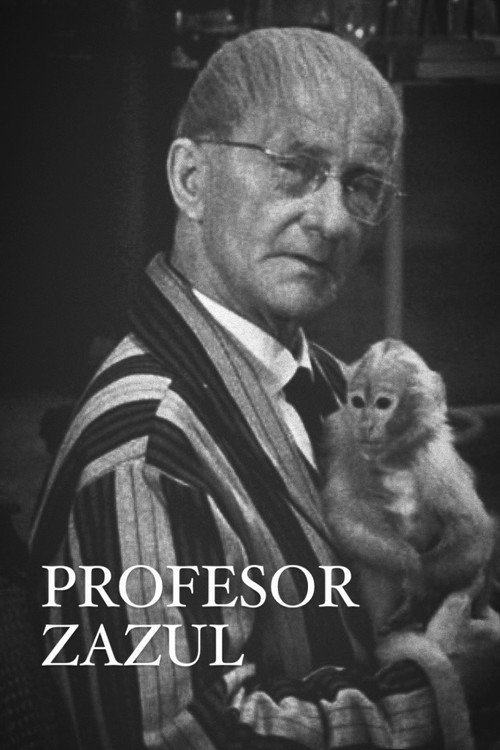 Profesor Zazul — постер
