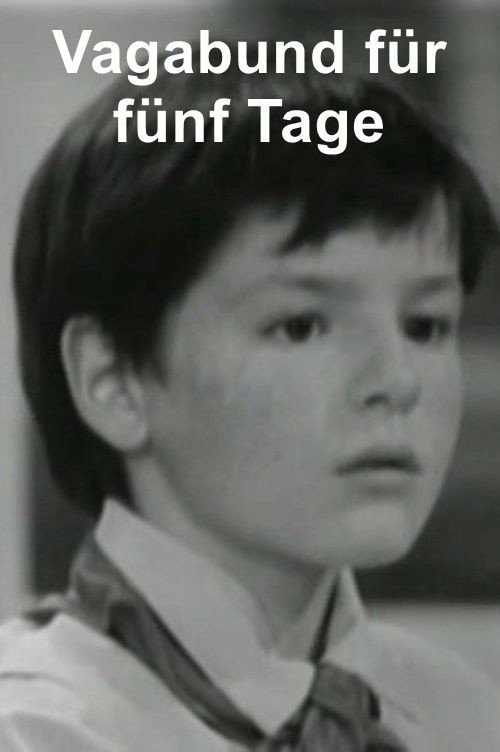 Vagabund für fünf Tage — постер