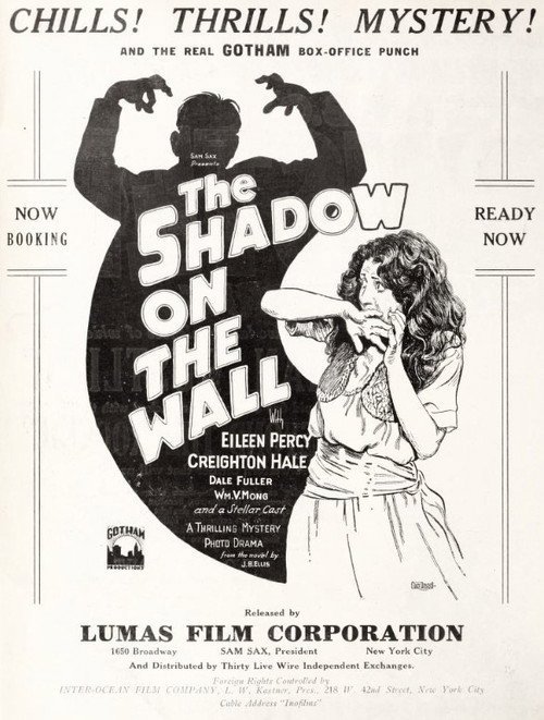 The Shadow on the Wall — постер