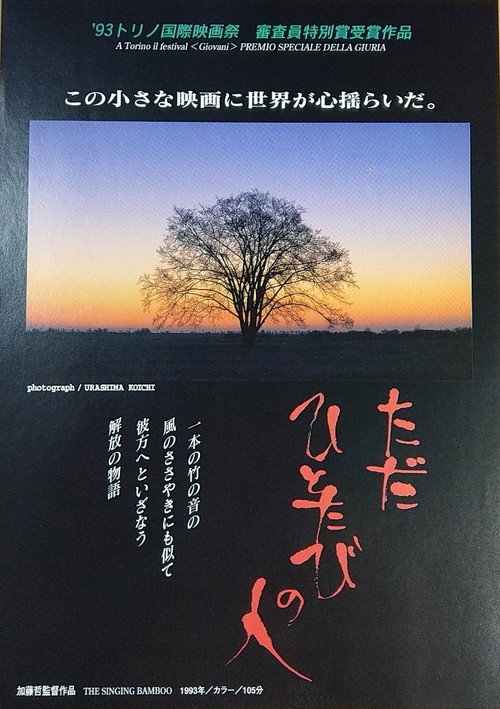 ただひとたびの人 — постер