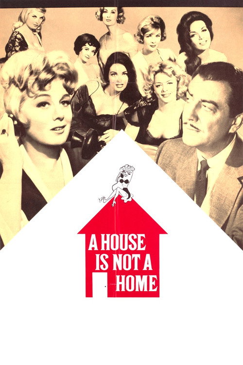 A House Is Not a Home — постер