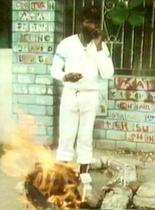 Jools in Jamaica — постер