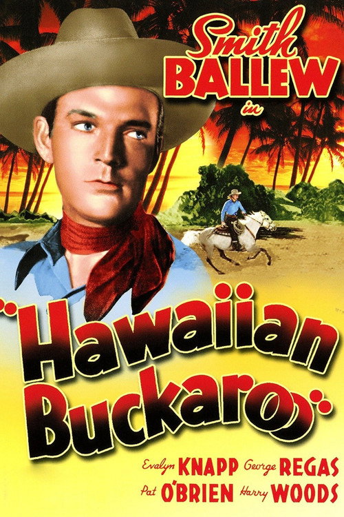 Hawaiian Buckaroo — постер