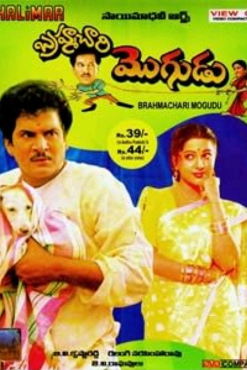 బ్రహ్మచారి మొగుడు — постер