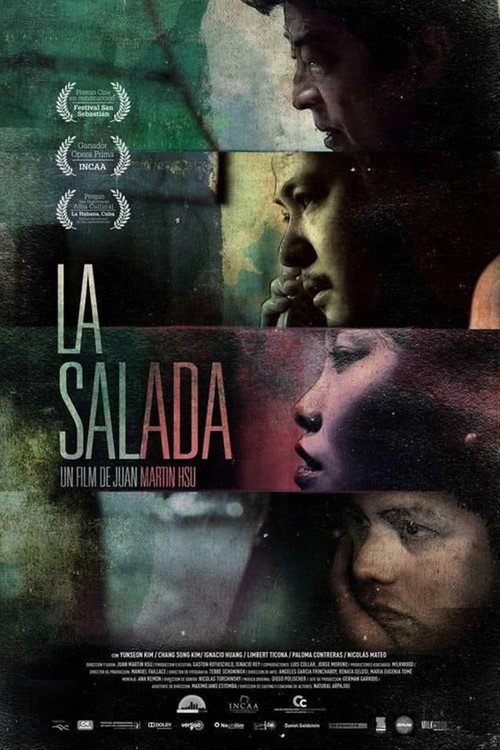 La Salada — постер